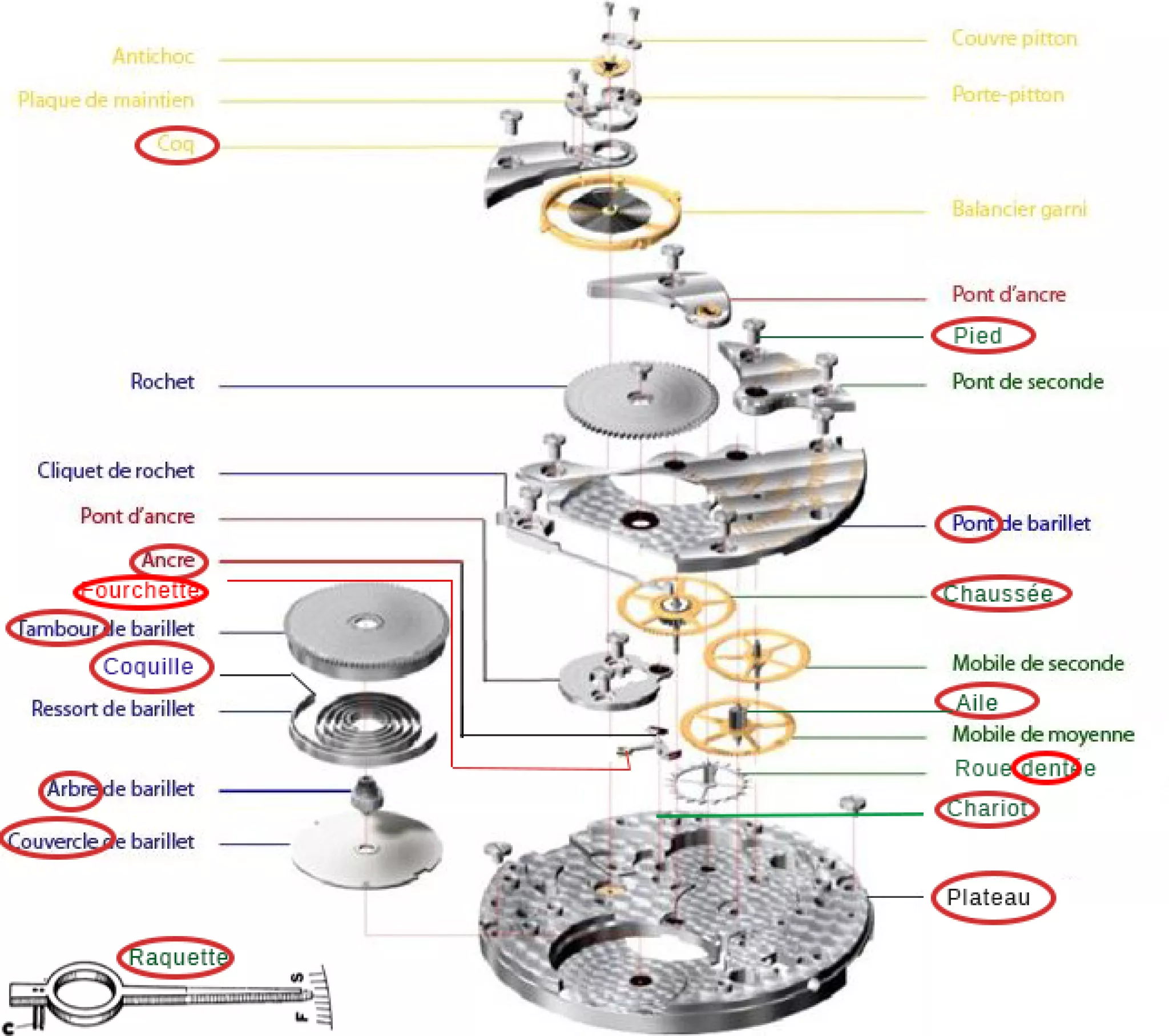 éclaté d'une montre